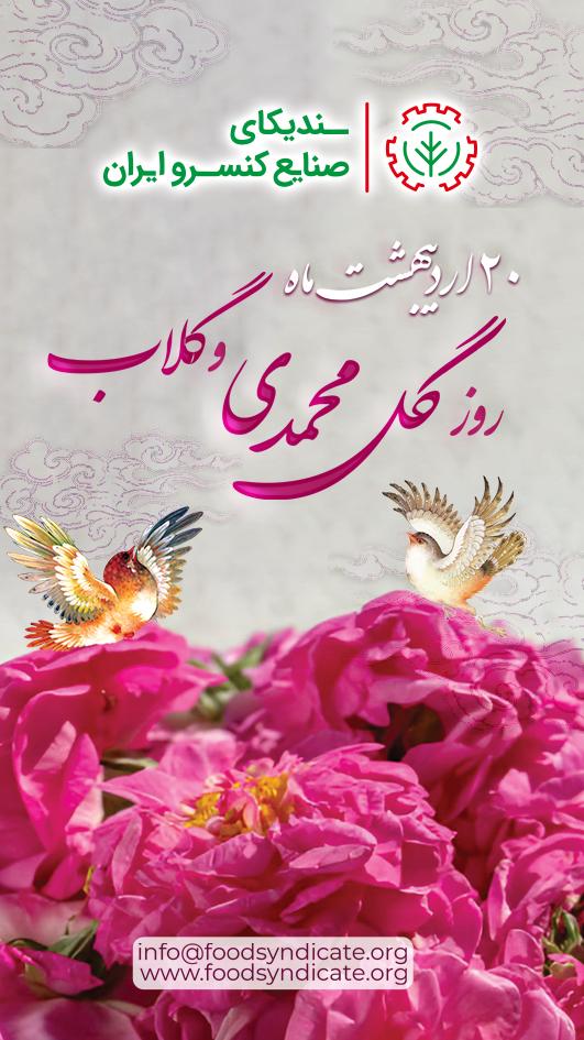 WhatsApp Image 2025-05-10 at 10.31.24